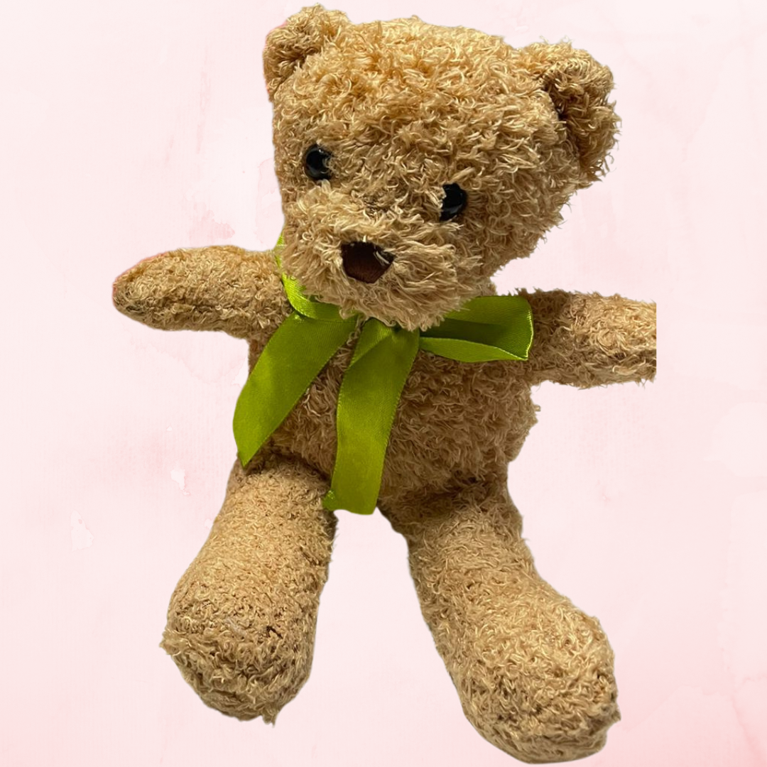 10 inch Teddy Bear